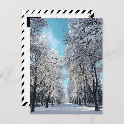 Carte Postale promenade hivernale dans le parc (Devant / Derrière)