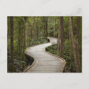 Carte Postale Promenade jusqu'aux chutes Nelson, Franklin - Gord