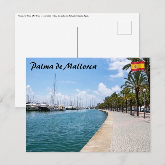 Carte Postale Promenade maritime - Palma de Mallorca, Espagne (Devant / Derrière)