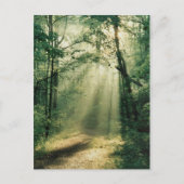 Carte Postale Promenade tranquille (Devant)