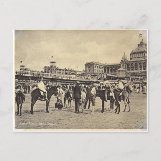Carte Postale Promenades à dos d'âne, Scheveningen 1906