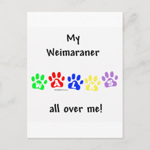 Carte Postale Promenades Weimaraner