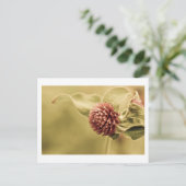 Carte Postale promesse saine (Debout devant)