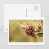 Carte Postale promesse saine (Devant / Derrière)