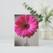 Carte Postale Promise Gerbera (Debout devant)