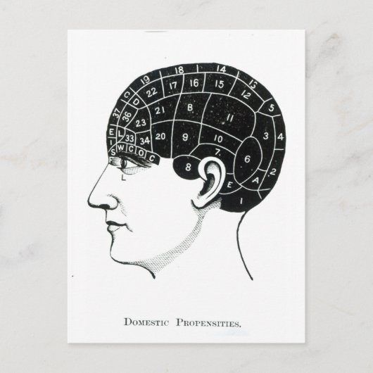 Carte Postale Proportions domestiques (Devant)