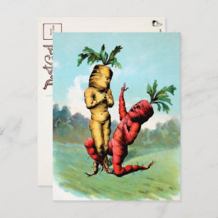 Carte postale Proposition de carottes de Victoria 
