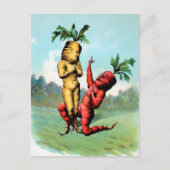 Carte postale Proposition de carottes de Victoria  (Devant)