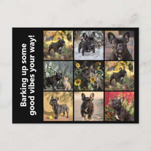 Carte Postale Propre 9 x images + texte