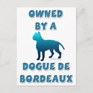 Carte Postale Propriété d'un Dogue de Bordeaux