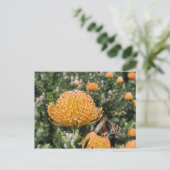 Carte Postale Protea Bee & Butterfly (Debout devant)