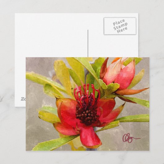 Carte Postale Protea Love (Devant / Derrière)