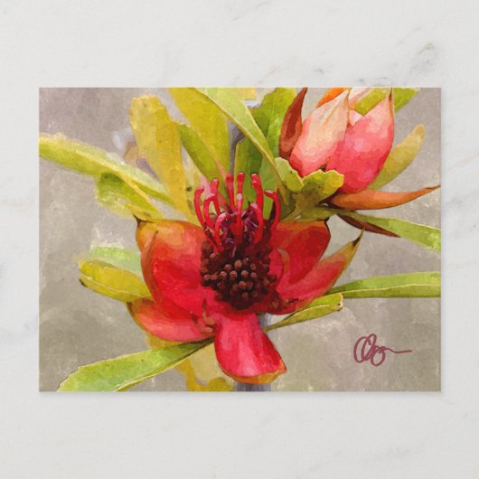 Carte Postale Protea Love (Devant)