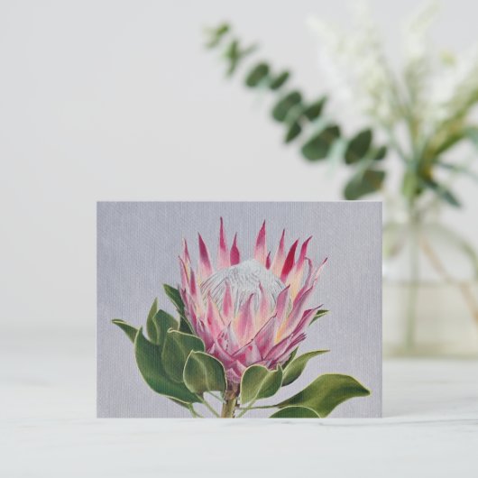 Carte Postale Protea Postcard (Debout devant)