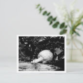 Carte Postale protecteur sombre (Debout devant)