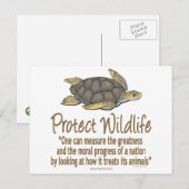 Carte Postale Protéger les tortues de mer (Devant / Derrière)