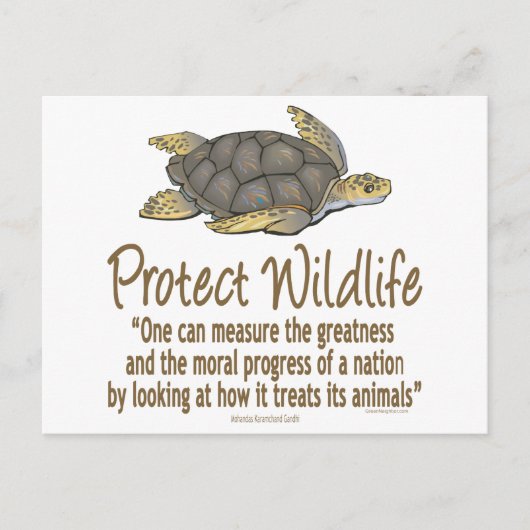 Carte Postale Protéger les tortues de mer (Devant)
