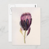 Carte Postale Prothé aquarelle (Devant / Derrière)