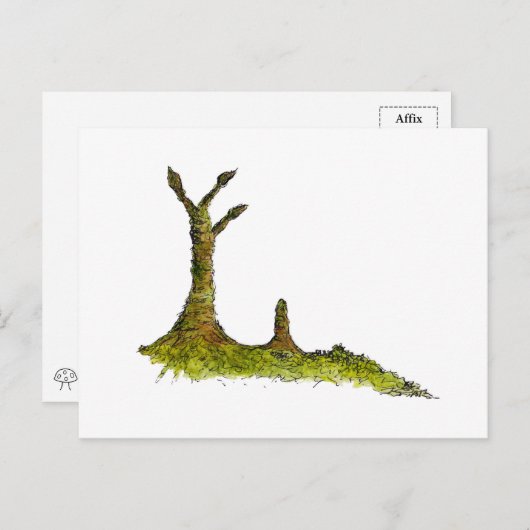 Carte Postale Prototaxites Lichens (Devant / Derrière)