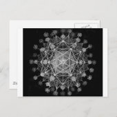 Carte Postale Protozoaires Amoeboïdes (Devant / Derrière)