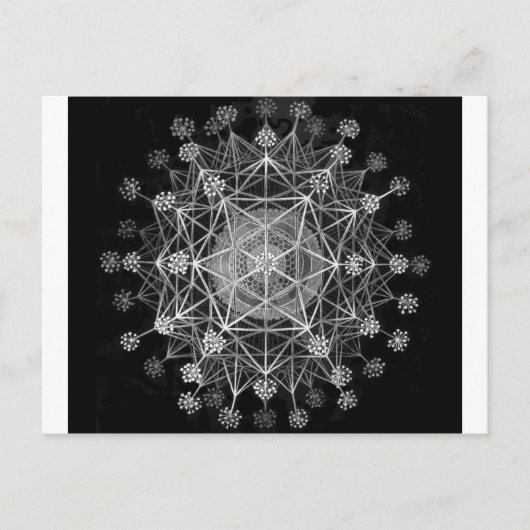 Carte Postale Protozoaires Amoeboïdes (Devant)