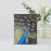 Carte Postale Prouve Peacock (Debout devant)