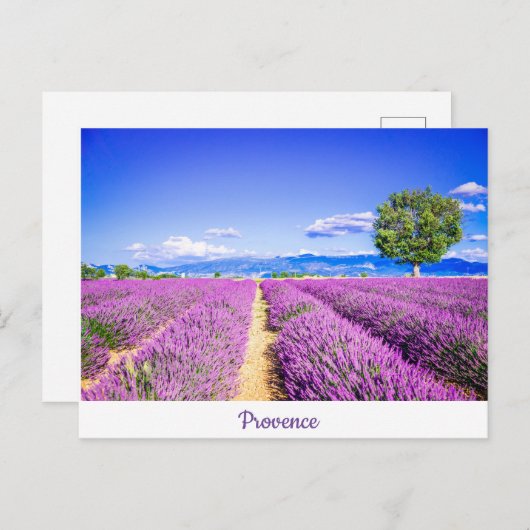 Carte Postale Provence (Devant / Derrière)