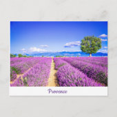 Carte Postale Provence (Devant)
