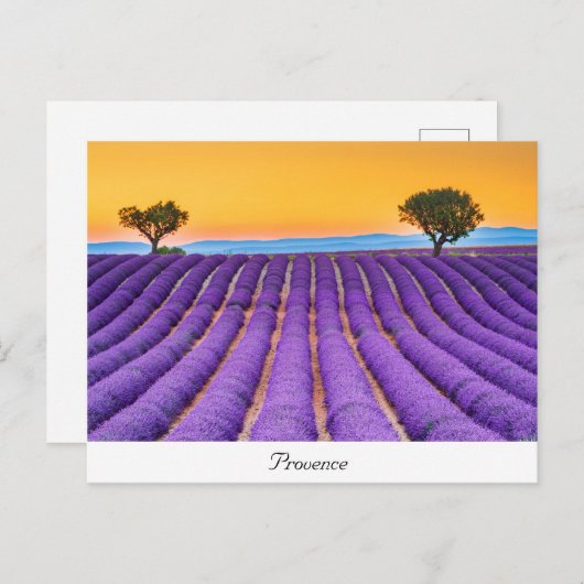 Carte Postale Provence (Devant / Derrière)