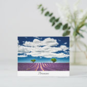 Carte Postale Provence (Debout devant)