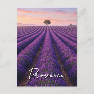 Carte Postale Provence France Lavender Champs