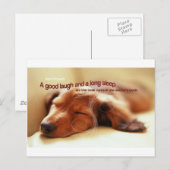 Carte Postale Proverbe irlandais et chien couché (Devant / Derrière)