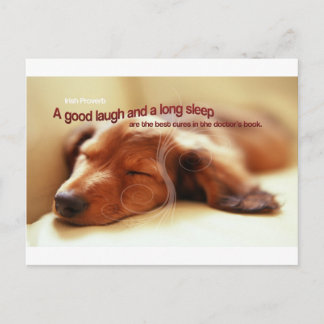 Carte Postale Proverbe irlandais et chien couché