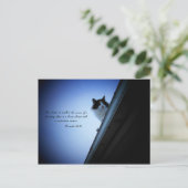 Carte Postale Proverbes 25 24 (Debout devant)