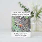 Carte Postale Proverbes 3:5-6 (Debout devant)