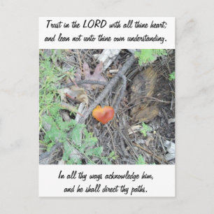 Carte Postale Proverbes 3:5-6