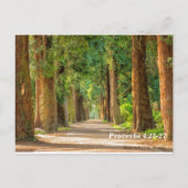 Carte Postale Proverbes 4:25-27 (Dos)