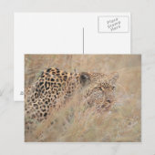 Carte Postale Prowling Leopard se cacher dans les Prairies (Devant / Derrière)