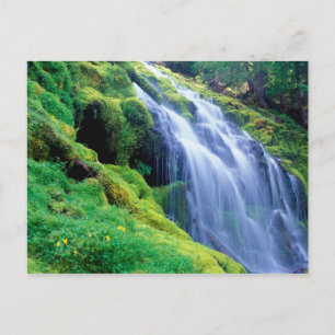 Carte Postale Proxy Falls in the central Oregon Cascades.