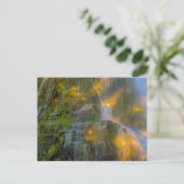 Carte Postale Proxy Falls Three Sisters Wilderness Oregon (Debout devant)