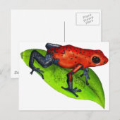 CARTE POSTALE PRT À SAUTER (Devant / Derrière)