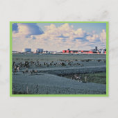 Carte Postale Prudhoe Bay, Alaska (Devant)
