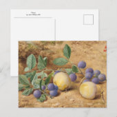 Carte Postale Prunes par John William Hill (Devant / Derrière)