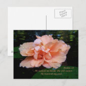 Carte postale Psalms 23 (Devant / Derrière)