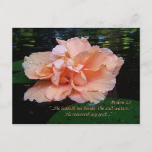 Carte postale Psalms 23