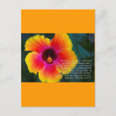 Carte Postale Psaume 27:4 (Devant)