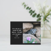 Carte Postale Psaume 27:5 (KJV) (Debout devant)