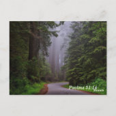 Carte Postale Psaume 31:14 Mes temps sont entre tes mains (Dos)