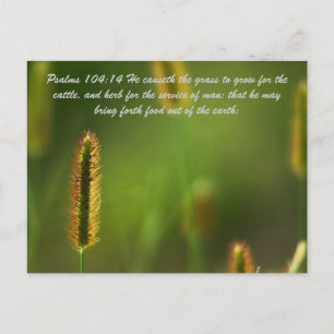 Carte Postale Psaumes 104:14 Il fait pousser l'herbe pour le