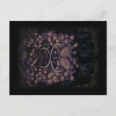 Carte Postale Psilocybe Allenii (Devant)